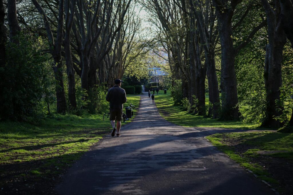 A person walking on a tree-lined path in calm afternoon light