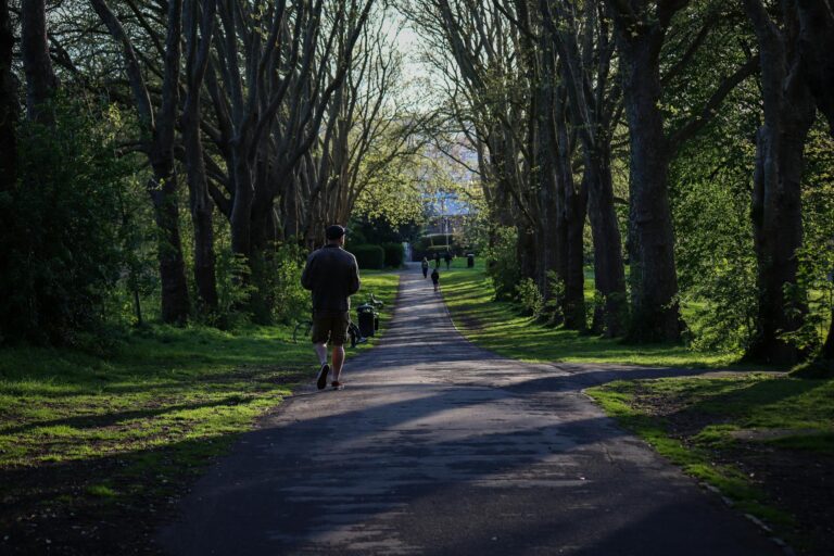 A person walking on a tree-lined path in calm afternoon light